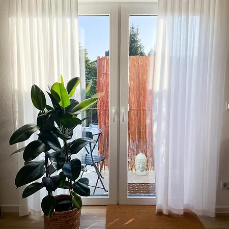 Coming In Apartment
